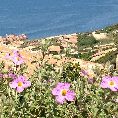 Διαμέρισμα Le Baiette Costa Paradiso